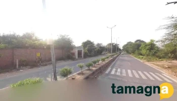 Baba Ramdev - Ellenabad