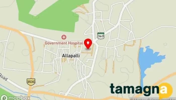 Bazarwadi allapalli Ta.Aheri - Allapalli