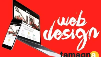 Best WordPress & Shopify Website Design | High-Quality Services in Hansi - Hansi