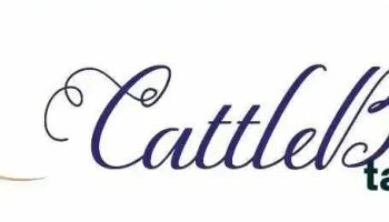 CattleBear - Dhule