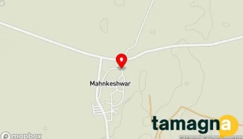 Digital E Services - Mankeshwar