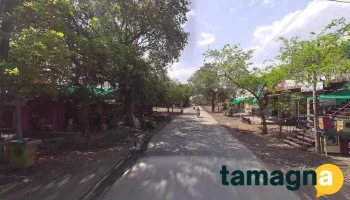 Jadhav Online Work - Tehsil Road