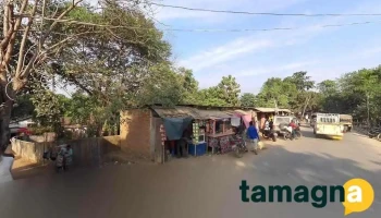 Mofizul Store - Chibinang