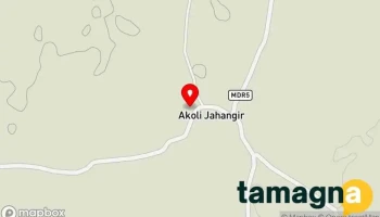 Shri Computer, Akoli Jahangir - Maharashtra 444101