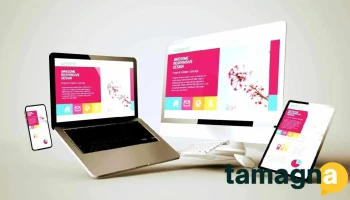 Web And Software Development - Charkhi Dadri