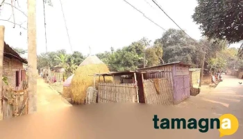 Ziaul House - Mankachar