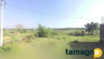 प्रगती टेलरिंग - Karanja