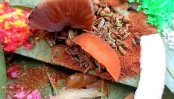 আকবর স্টোর - খুলনা