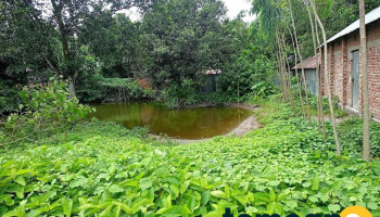 চৌমহনী বাজার, রুবেল টেলিকম - Char Rajibpur