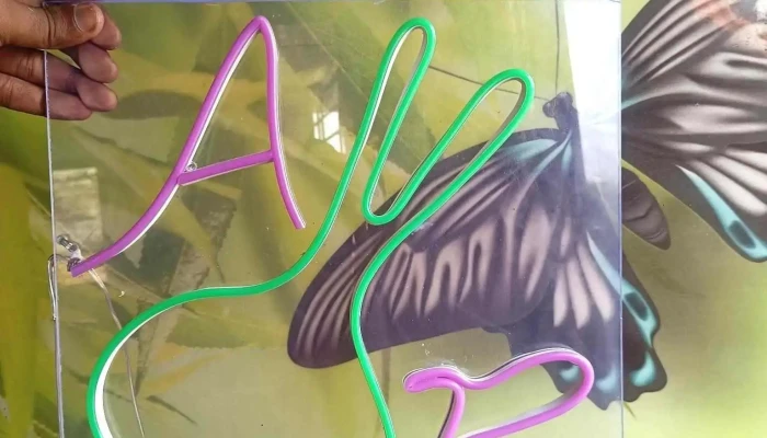Aadhiyogi Neon Sign Work -  Inside - Anjangaon