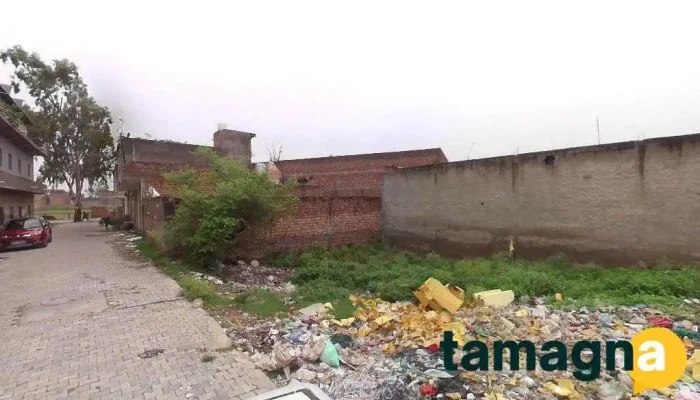 Ashu Computers - Panipat, Panipat Taraf Makhdum Zadgan
