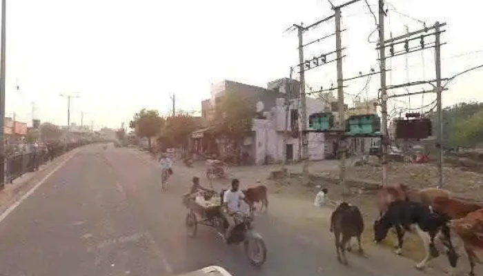 Ashwani Internet Point Csc Centre -  Street View 360deg - Kalanaur