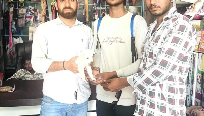 Ayush Pet Clinic And Shop -  Latest - Narnaul