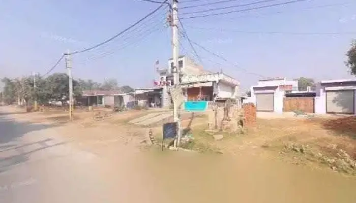 Ayush Pet Clinic And Shop -  Street View 360deg - Narnaul