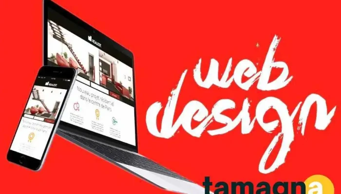 Best WordPress & Shopify Website Design | High-Quality Services in Hansi - Hansi