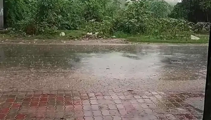 Bhai Chara Tambacoo Hooka Store Videos - Jhajjar