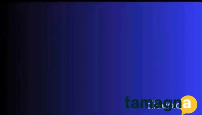 Bit Computer Education -  Videos - Tauru