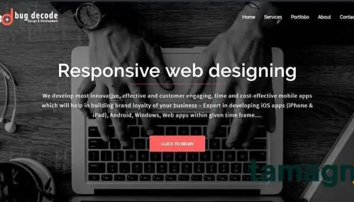 Bugdecode -    Web Design Company Web Development All - Jagadhri