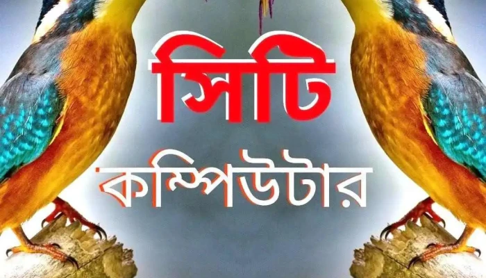City Computer -  All - Phulpur