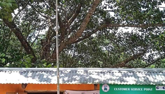 Csc Samanda Bazar East Garo Hills By Owner - Williamnagar