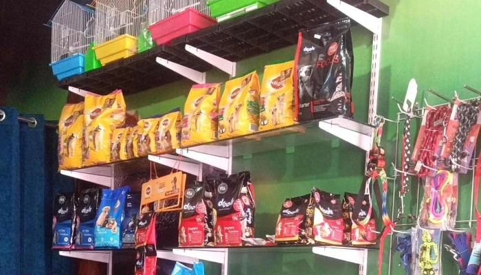 Dahiya Pet Shop -  Address - Narnaul