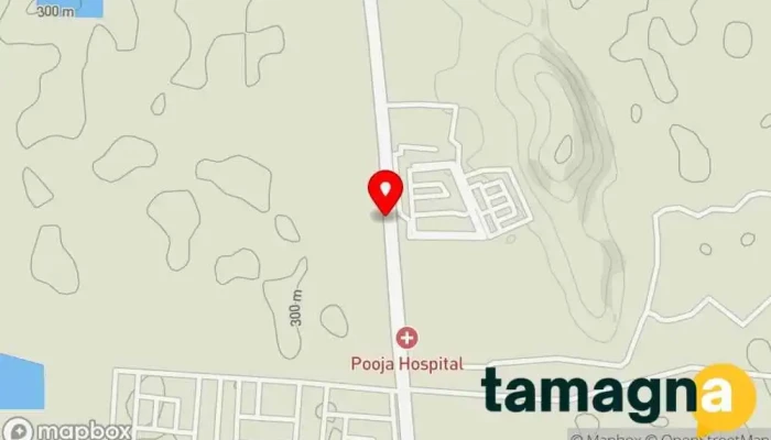 map of Dahiya Pet Shop Pet store in Narnaul