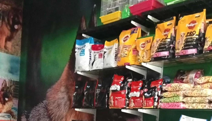 Dahiya Pet Shop - Narnaul