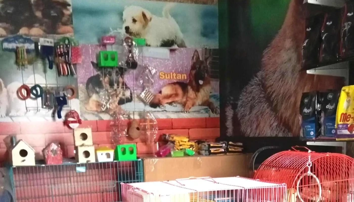 Dahiya Pet Shop -  Pet Store - Narnaul