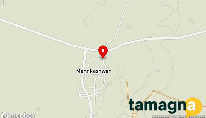 Digital E Services - Mankeshwar