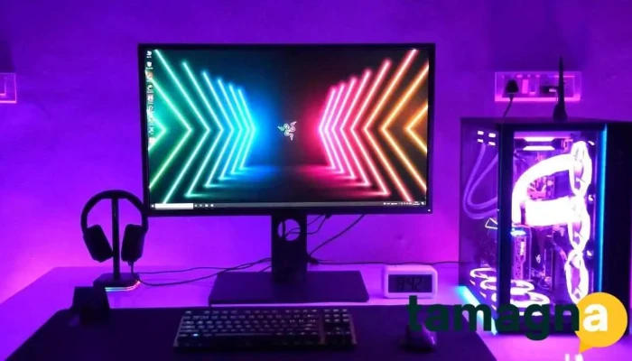 Goan Gamer - Vinayak H