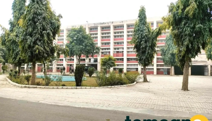 Govt Polytechnic Jhajjar All - Jhajjarrural