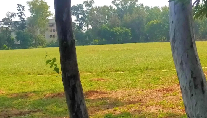 Govt Polytechnic Jhajjar Prices - Jhajjarrural