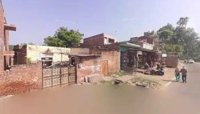 Gulab Csc -  All - Firozpur Jhirka