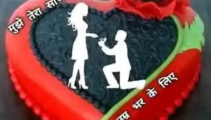 Hartron Skill Centre Gandhi Nagar Charkhi Dadri -  Videos - Charkhi Dadri