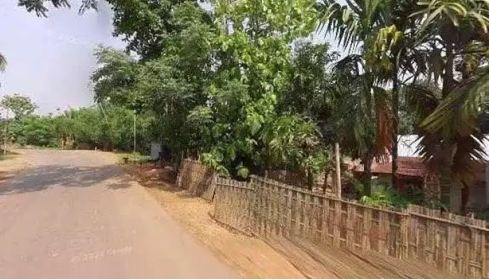 Jalenur Zannat Store -  All - Nayagaon