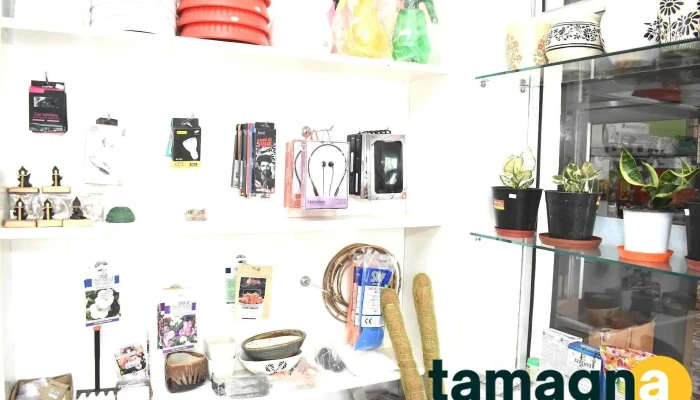 Joels Tech Blooms By Owner - Jowai