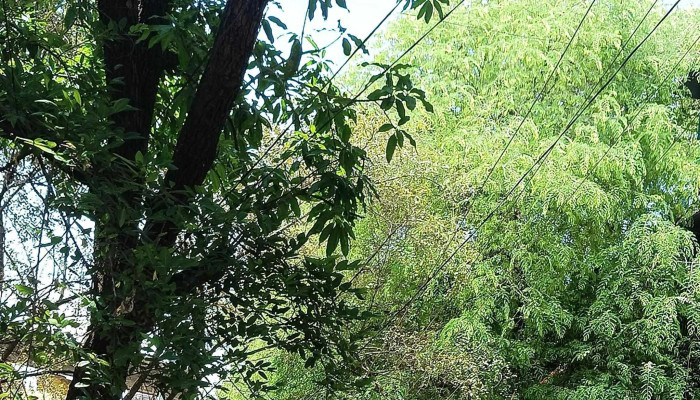 Location -  Ambernath - Ambernath