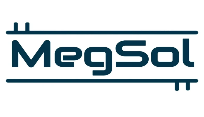 Megsol It Solutions Company By Owner - Shillong
