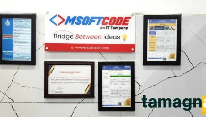 Msoftcode -    Web Development And Seo Services Provider All - Jind