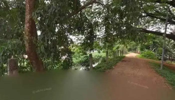 Multi Techno Services -  Street View 360deg - Guwahati
