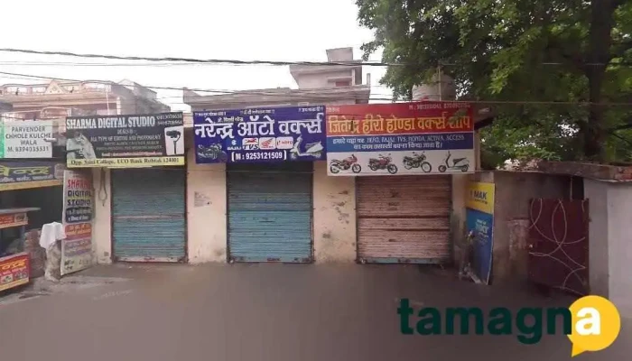 Pd Infotech - Rohtak