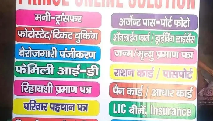 Prince Online Solution -  By Owner - Bhiwani