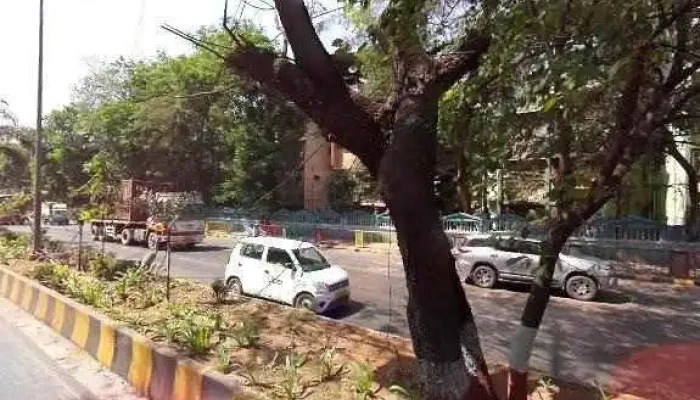 Radha Systems Solutions Street View 360deg - Navi Mumbai
