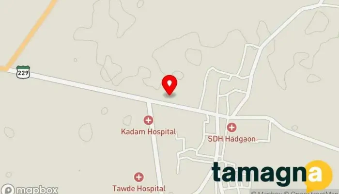 map of Rajmudra Multiservices Computer support and services in Hadgaon - Tamsa Rd