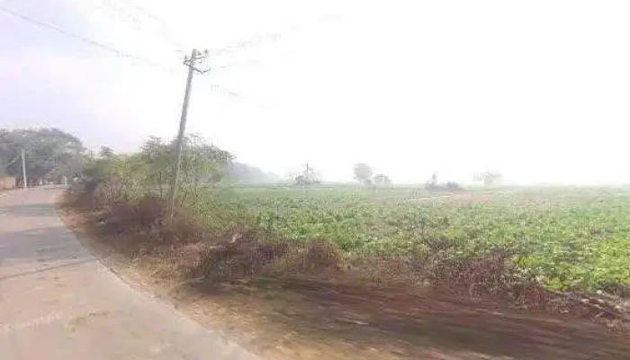 Rakesh Sharma -  Street View 360deg - Makhand