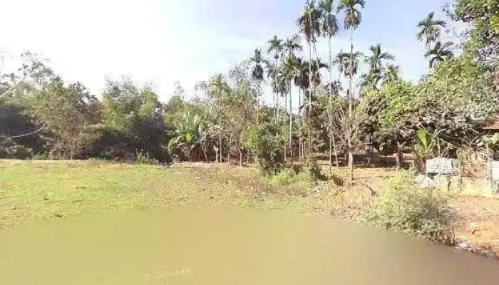Rani Csc -  All - Chibinang