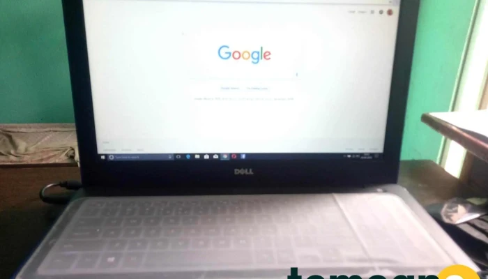 Rex Computer Service Center -  Computer - Gurugram