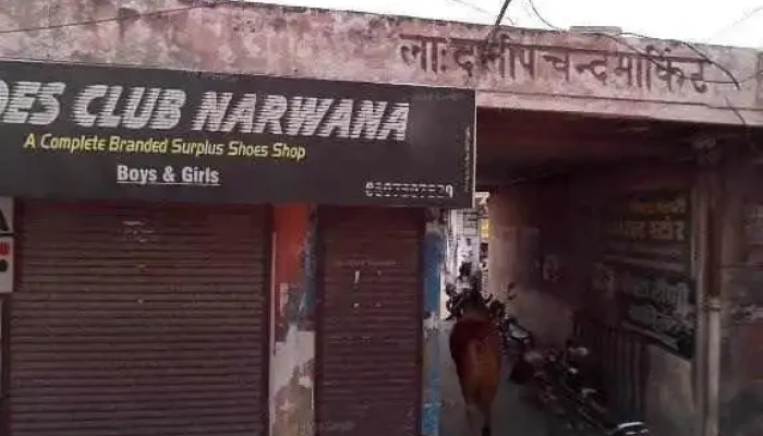 Rishi Computers Narwana -  All - Narwana, Narwana Rural