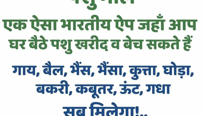 Rosella Technologies India Pvt Ltd By Owner - Mandi Dabwali