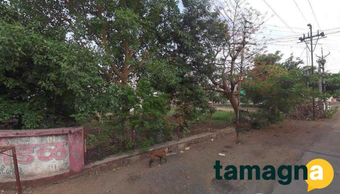 S P Computer - Saad Colony